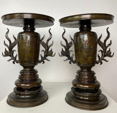 null JAPAN, Meiji period (1868-1912) . 
Pair of bronze usubata* vases with shibuichi...
